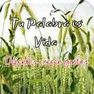 Tu Palabra es Vida. Episodio 47 DÉJENLOS CRECER JUNTOS