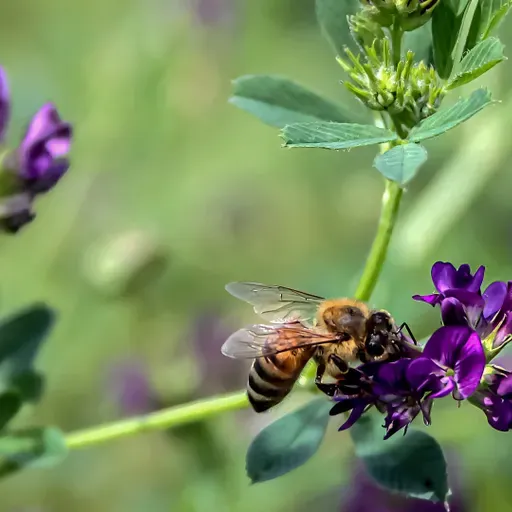 K-12 education policy changes, Honeybee threats, Wisconsin thriller novel