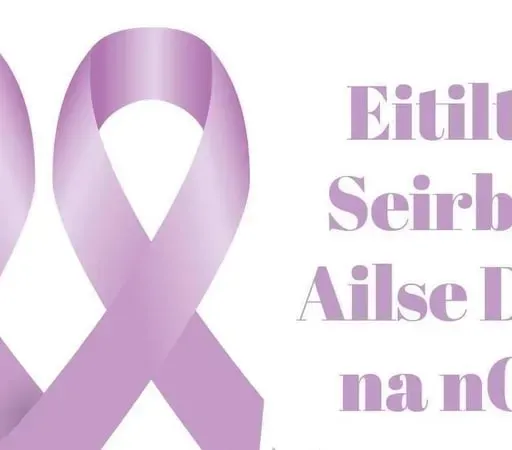 Mary Uí Chomhaill, Coiste Eitiltí agus Seirbhísí Ailse Dhún na nGall.