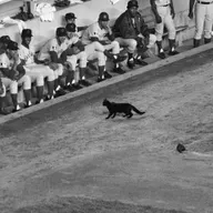What makes baseball magic