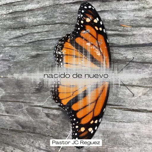 He Nacido de Nuevo