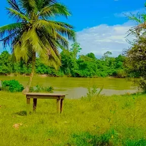 Rádio Rio cachoeira fm