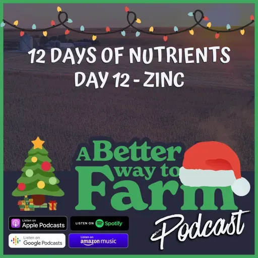 12 Days of Nutrients - Day 12: Zinc
