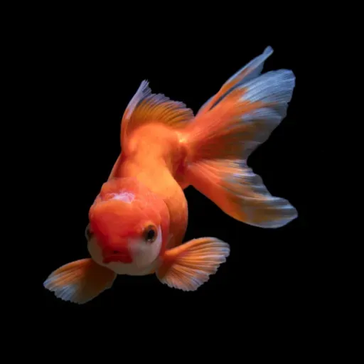 Лайв истории  2026-02-02 07:40