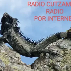 RADIO CUTZAMALA