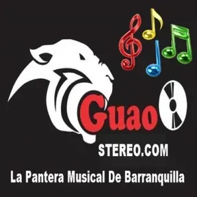 GUAO STEREO