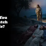 
                    Episode 1182: Could You Not Watch With Me?
                