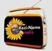 Kazi Njema Radio