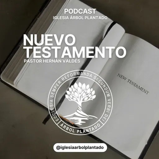 216 - La Nueva Jerusalén ( Apocalipsis 21 )