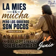Domingo, 14 de junio 2026 || Mateo 9, 36-10, 8