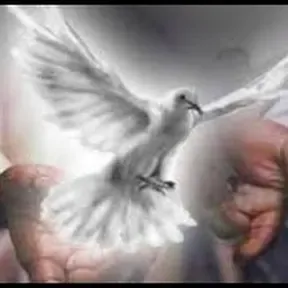 Veni Lumen Cordium