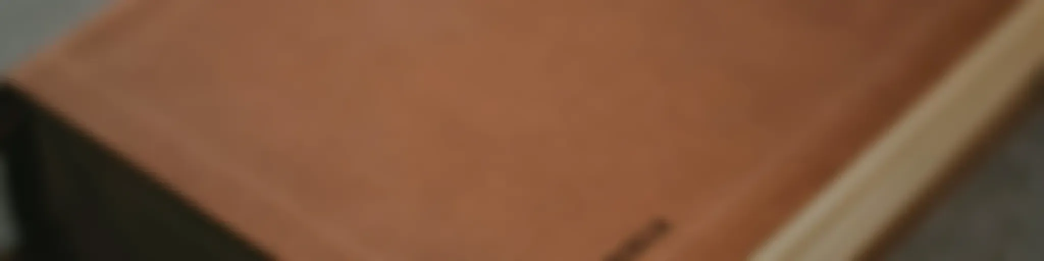 10 CURIOSIDADES DE HITLER