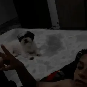 Áudio