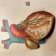 EPSA is Burning S27 E07 - Episodio exclusivo para mecenas