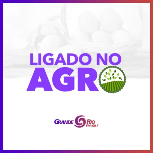 Novos produtos alimentícios agregam valor às frutas do Vale do São Francisco