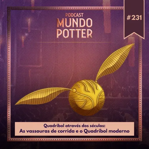 Mundo Potter #231 - Quadribol através dos séculos: As vassouras de corrida e o Quadribol moderno