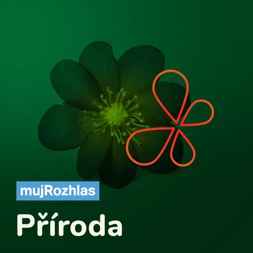 Planetárium: Termojaderná fúze: na cestě k novému zdroji energie a návštěva středověkých krušnohorských dolů