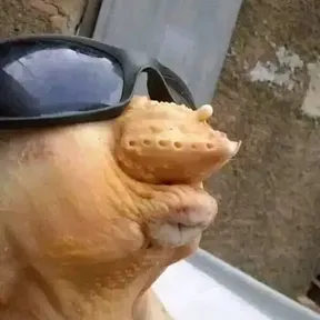 Domicilio 2