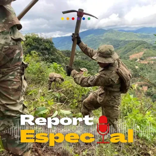 BOLIVIA PROYECTA ERRADICAR 10 MIL HECTÁREAS DE COCA EXCEDENTARIA