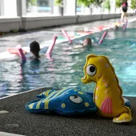 Seepferdchen erlangen bei den Schwimmabzeichentagen
