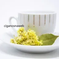 Banho de Flor de Marcela/Macela para aliviar o stress