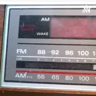 El paraíso perdido II