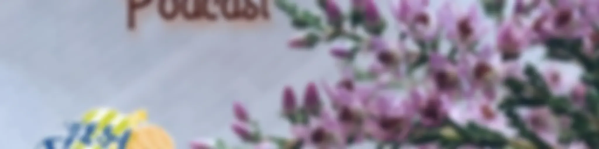 "Prayer Changes Everything"
Devotion for Today