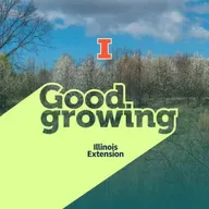 Ep. 231 New Additions to Illinois’ Invasive Species List | #GoodGrowing