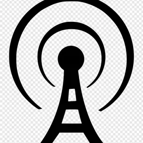 D.S. Online Radio Station