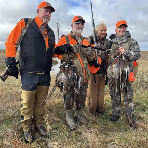 221: South Dakota Pheasants