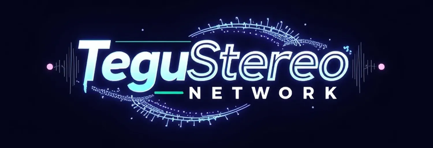 TeguStereo