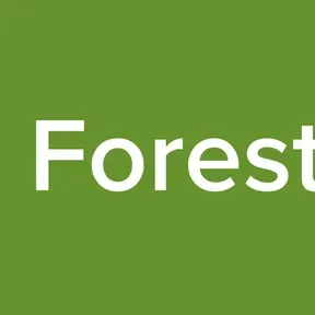 Enaira Forest Night