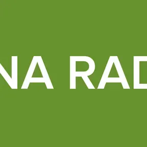 MINA RADIO