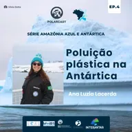 Poluição plástica na Antártica