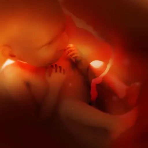 Does the Bible Comment on Abortion?