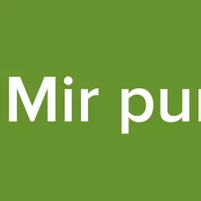 rad Mir pune 1