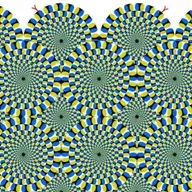 SN 317: La nutrición espiritual