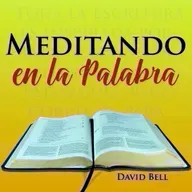 MelP_335-Numeros_22_13