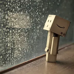On the rainy days.