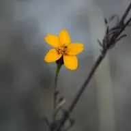 mis padres son una mierda