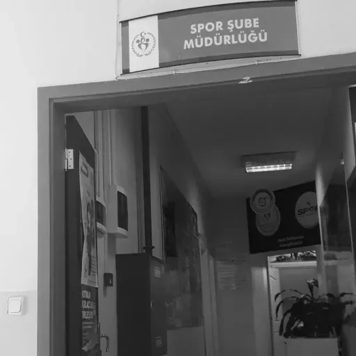 Tuzaklar kurma yollarıma :)