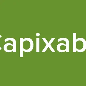 Capixaba
