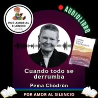 Cuando todo se derrumba. Quinto episodio. Pema Chödrön.