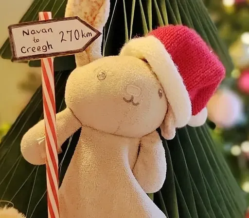 Can we get Fifi the Bunny back home for Christmas?