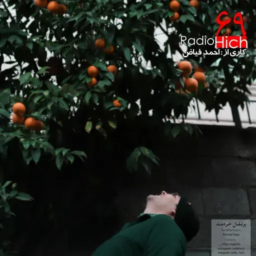 پرتقال خردمند - شصت و نه هیچ