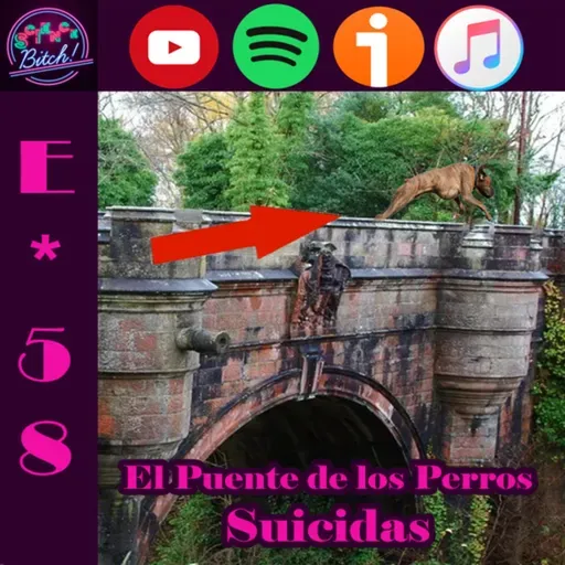 E*58 | El Puente de los Perros Suicidas