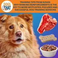 Training Tips From Susan: Why Ranking Reinforcements Is The Key To More Motivated, Focused, & Successful Dog Training Sessions