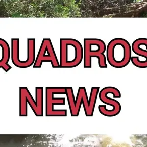 QUADROS DE NOTÍCIAS