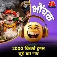 गुजरात : गृह विभाग का दावा, पुलिस कस्टडी में 2000 किलो ड्रग्स चूहे खा गए | भौंचक