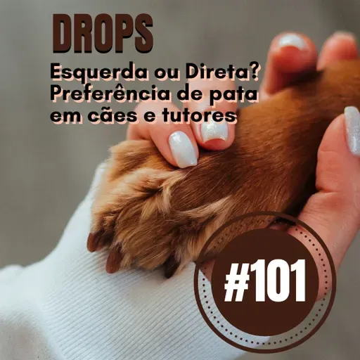 #101 – Drops: Esquerda ou Direta? Preferência de pata em cães, pesquisa de Charlton e Frasnelli
